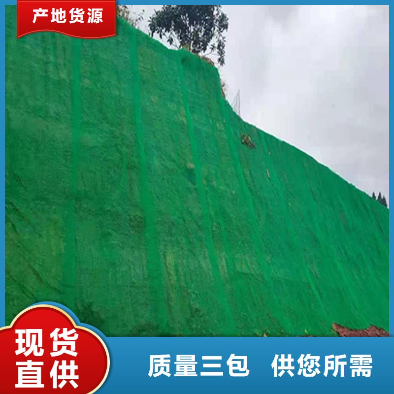 三维固土网垫经销-哪里有卖的同城货源
