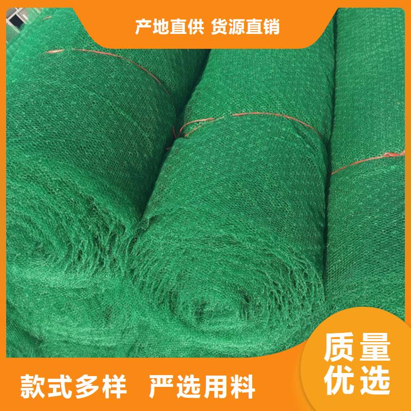 EM3三维固土网垫-三维网植草护坡当地品牌