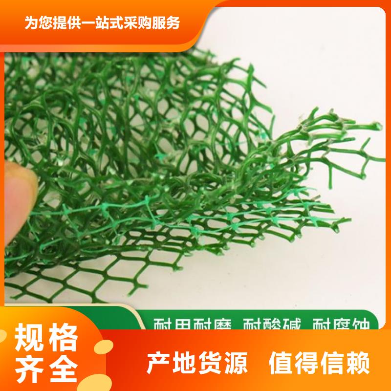 EM5三维护坡植草网垫-边坡三维土工网垫制造厂家