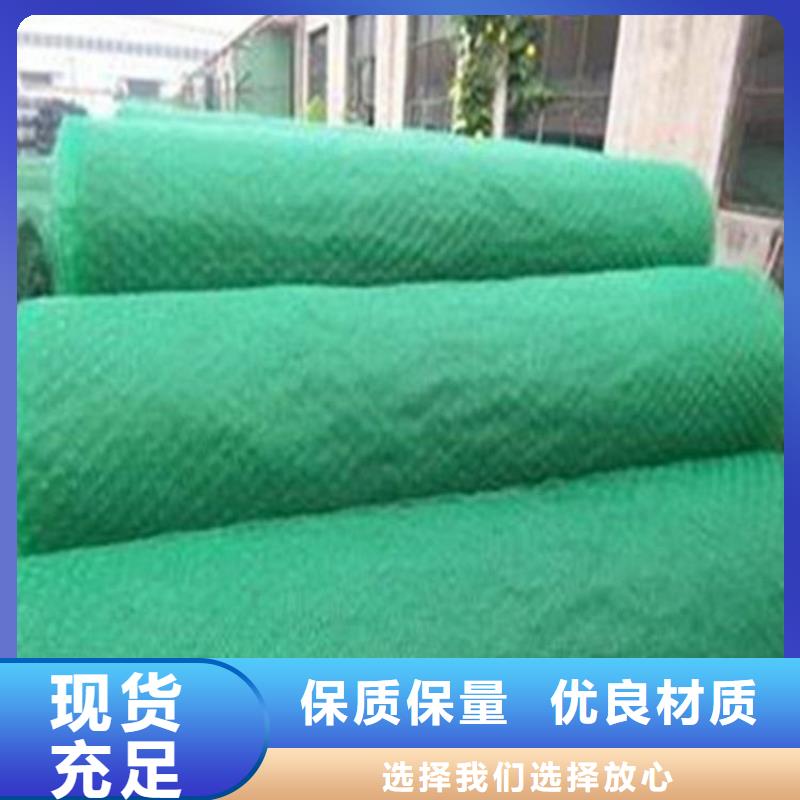 三维植被网-EM3三维土工网垫发货迅速