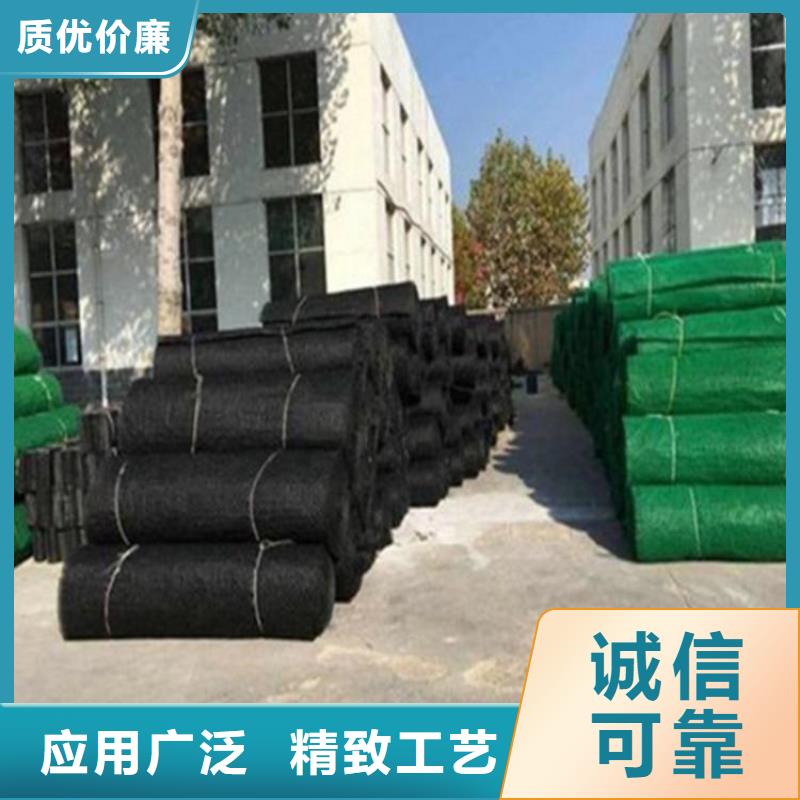 三维土工网垫-EM3三维土工网垫同城服务商