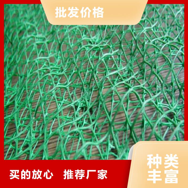 三维固土网垫边坡草皮诚信为本