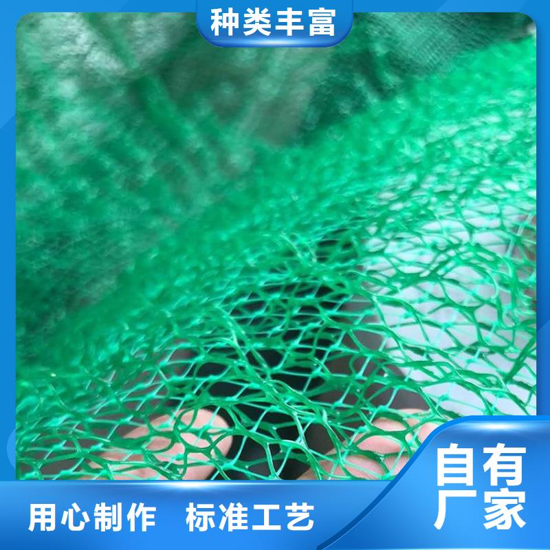 三维护坡植草网垫品质保证本地生产商
