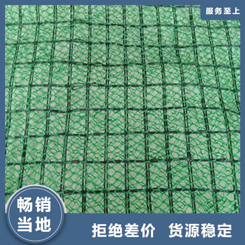 EM3三维植被网厂家-价格更新本地生产厂家