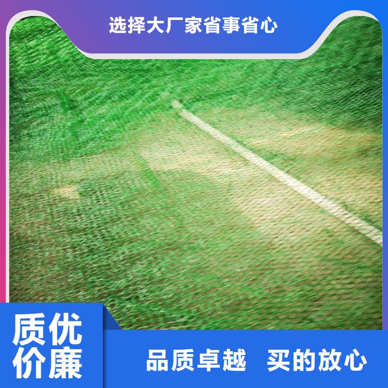 EM3三维固土网垫本地公司
