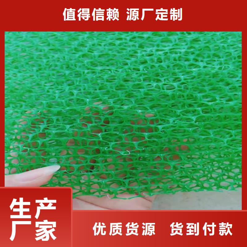 三维土工网垫用心服务