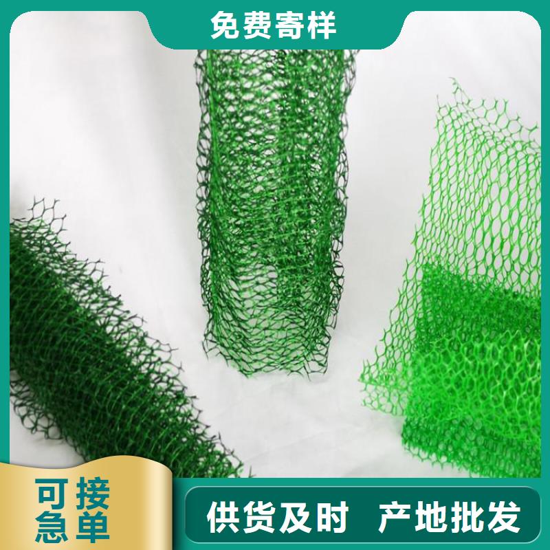 三维固土网垫三维固土网垫本地货源