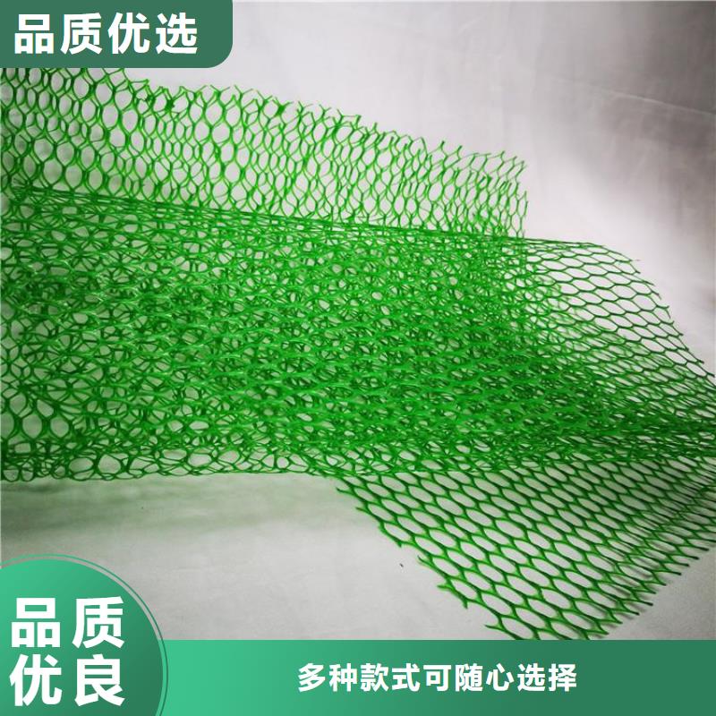 EM3三维土工网垫-加筋三维土工网垫工程施工案例