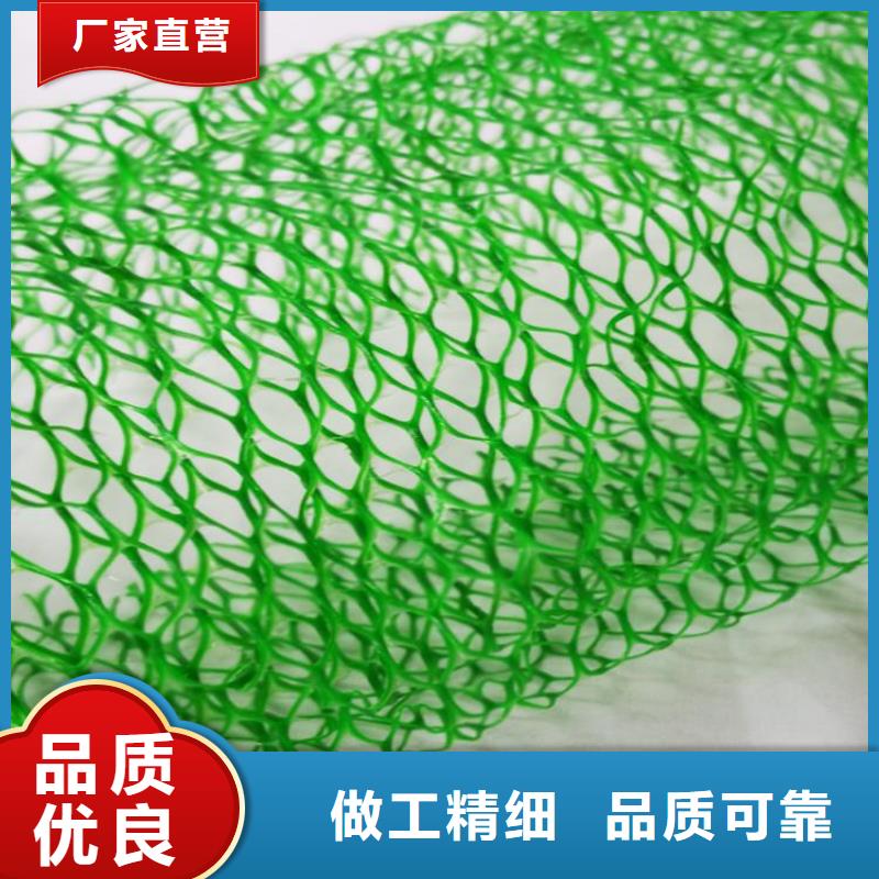 三维固土网垫-EM5三维土工网垫本地生产商