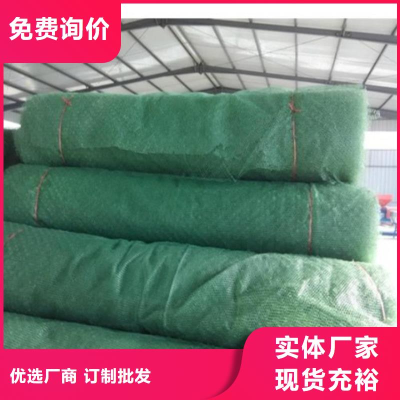 EM3三维土工网垫节约成本同城制造商