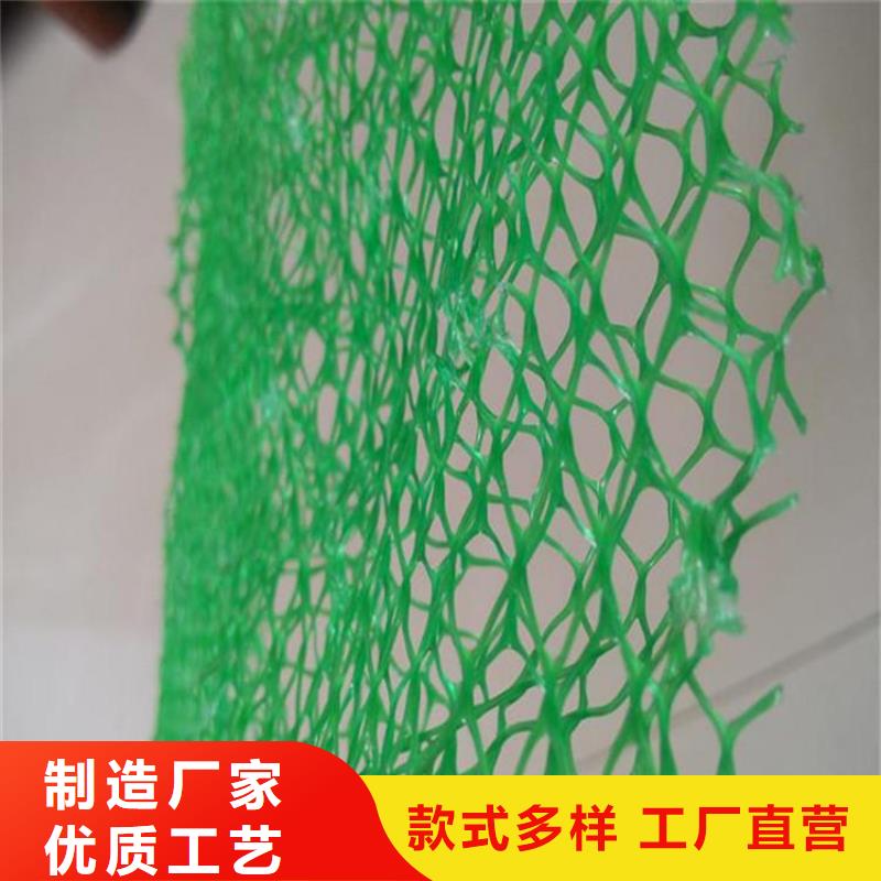 三维土工网垫-EM3三维植被网经验丰富品质可靠