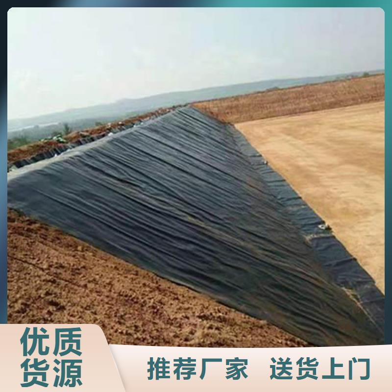 垃圾填埋场防渗土工膜本地公司
