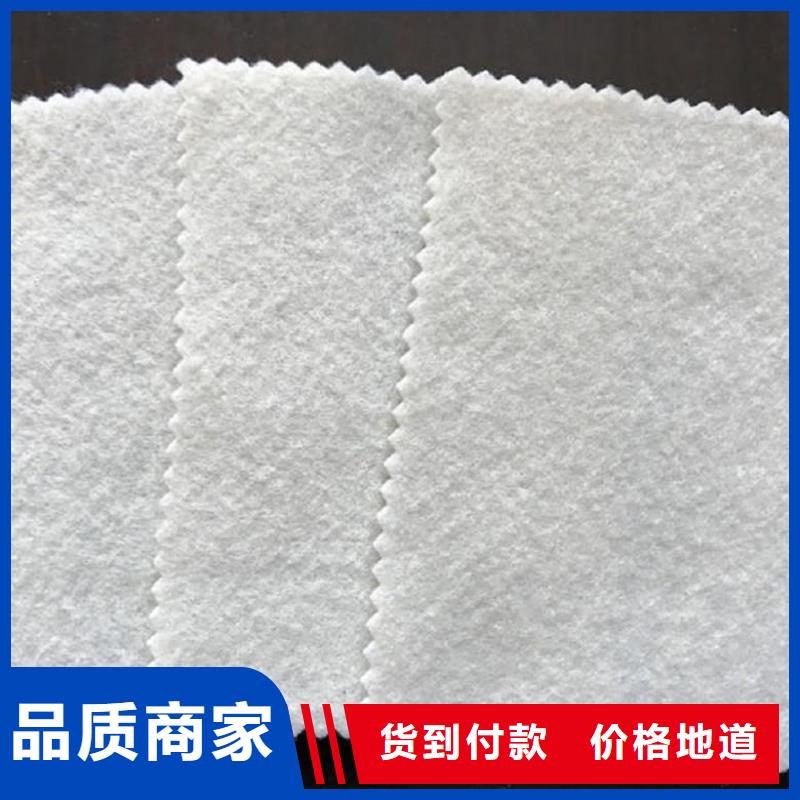 土工布_PET长丝无纺土工布价格有优势