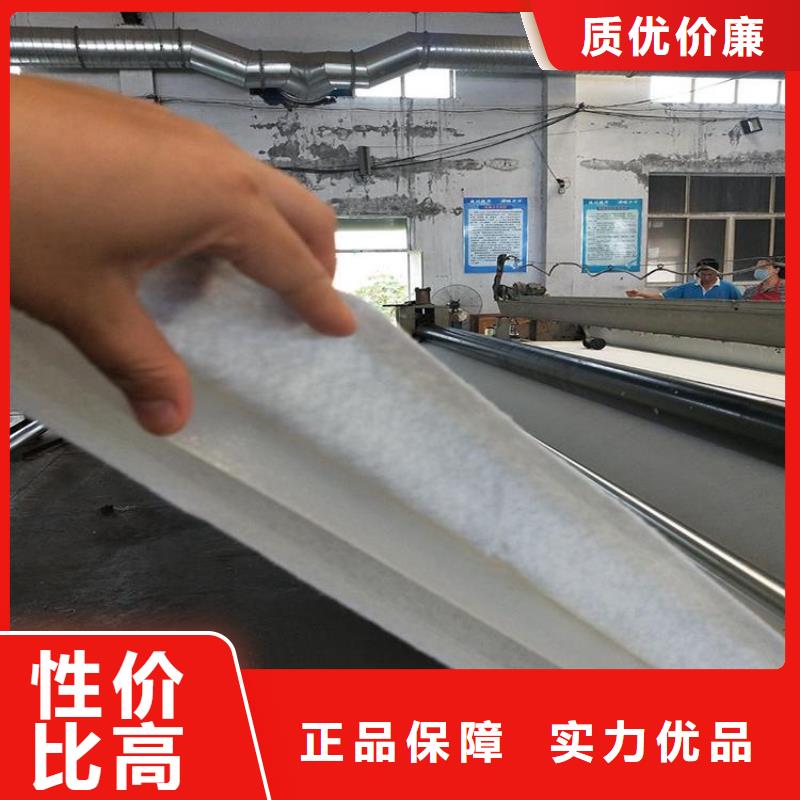 反滤土工布施工大图24小时下单发货