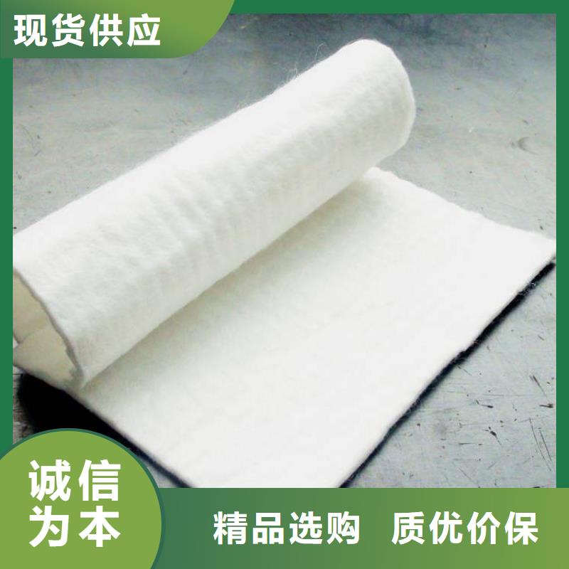 土工布_渗水防水本地生产商