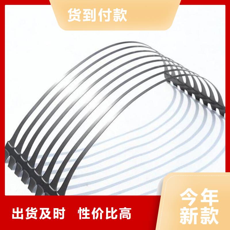玻纤土工格栅实体厂家定制定做