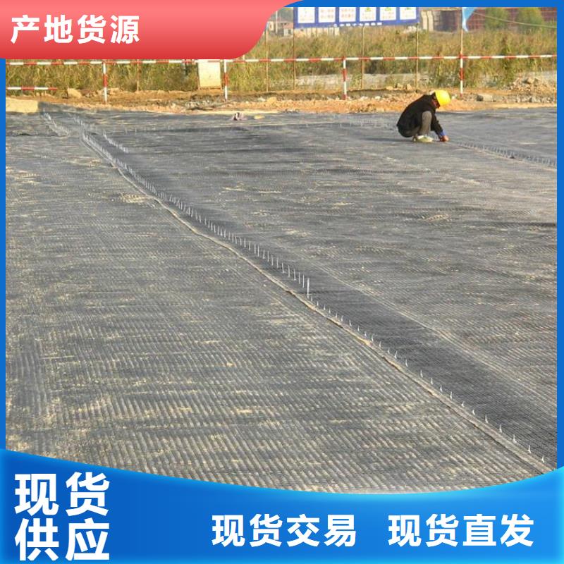 聚乙烯土工格栅当地市场支持大小批量采购