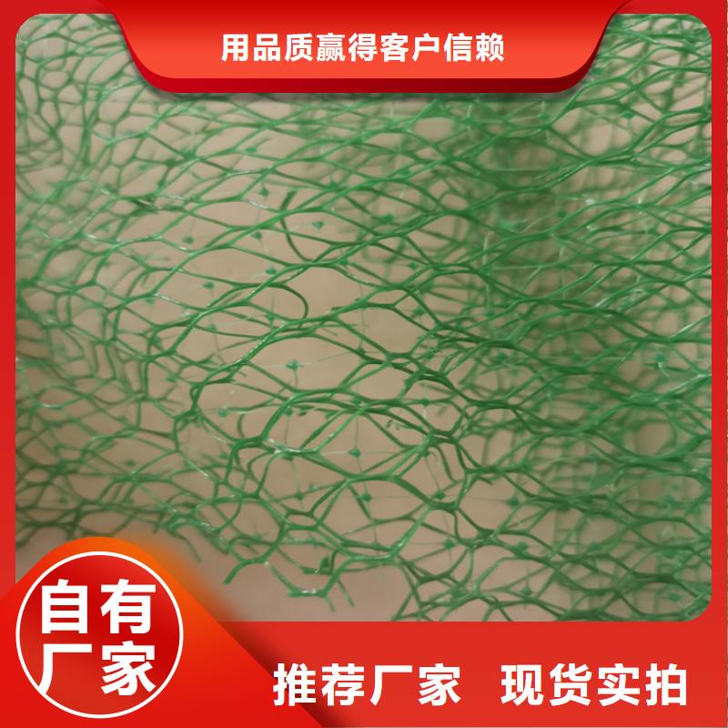 加筋护坡网垫特点厚度当地品牌