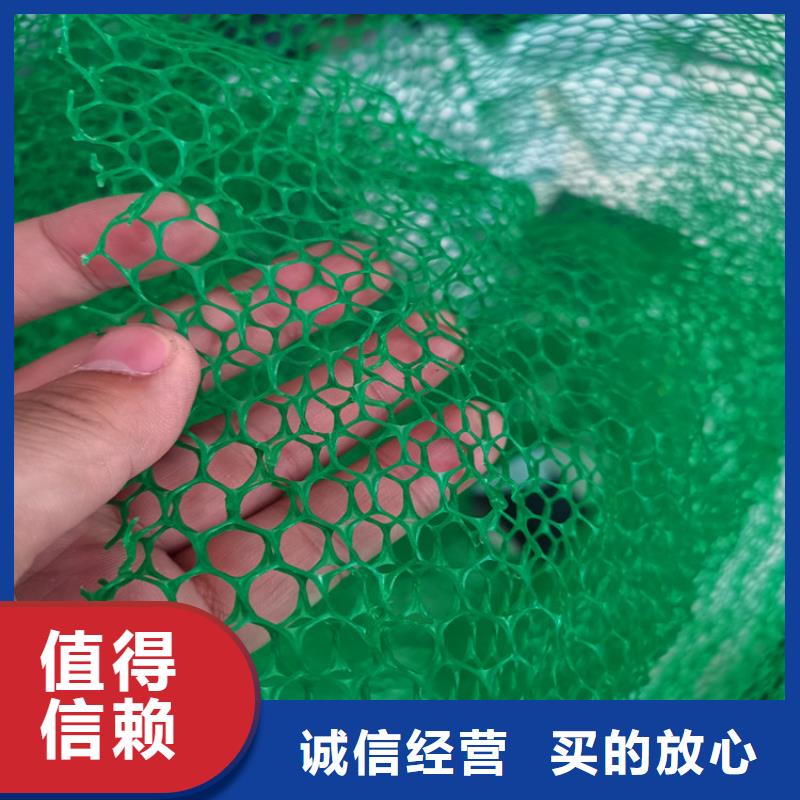 三维护坡加筋网垫#EM2固土本地货源