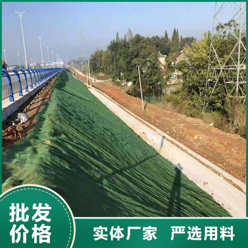 三维加筋植草网垫代理/哪里有卖的本地厂家