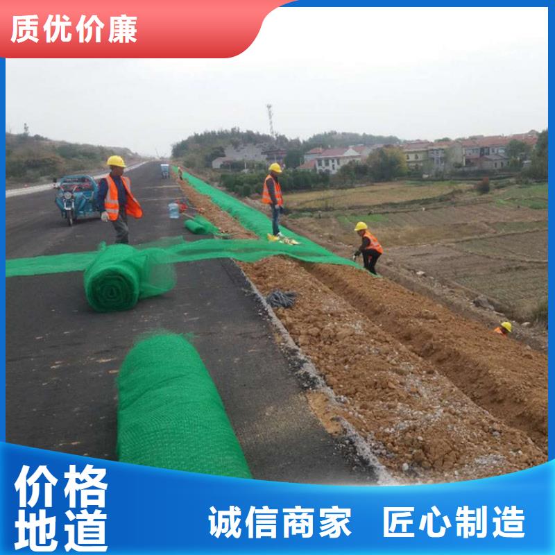 塑料加筋三维土工网垫多年厂家可靠