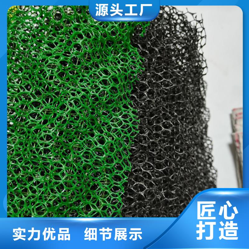 三维护坡植被网垫#草皮环保厂家实力大