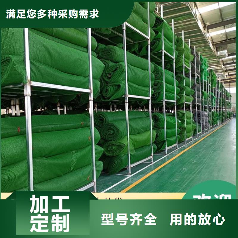 三维植被网特点厚度当地厂家