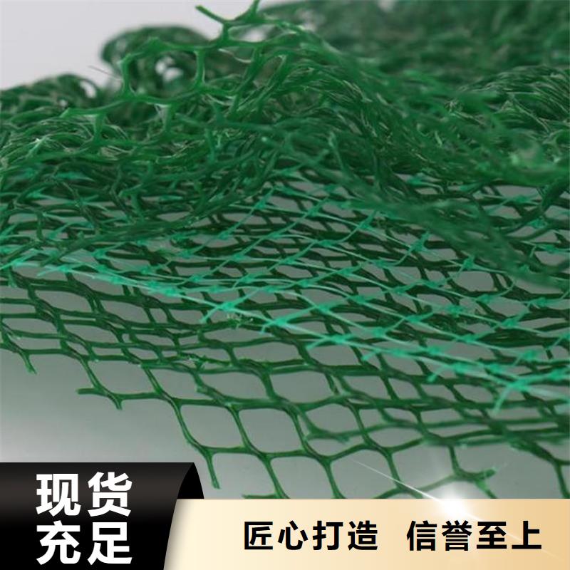 三维土工网垫#塑料EM5品质不将就