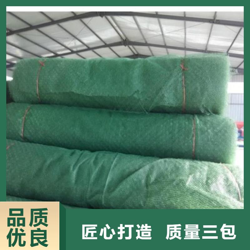 塑料EM2三维护坡加筋网垫厂家直销规格多样