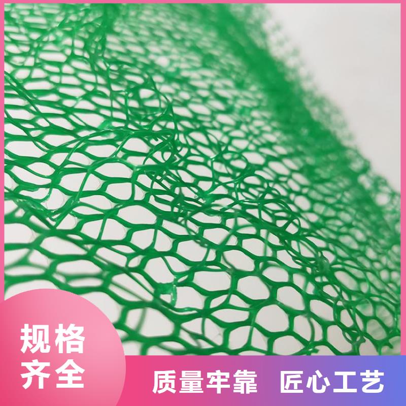 护坡EM5三维护坡植被网垫同城品牌