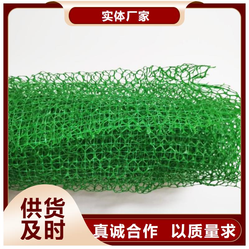三维加筋土工网垫#EM4绿化当地生产商