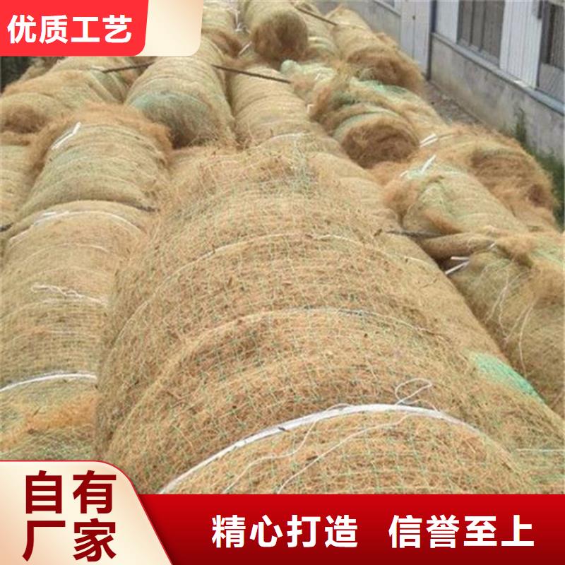 生态环保草毯-加筋抗冲生物毯本地公司