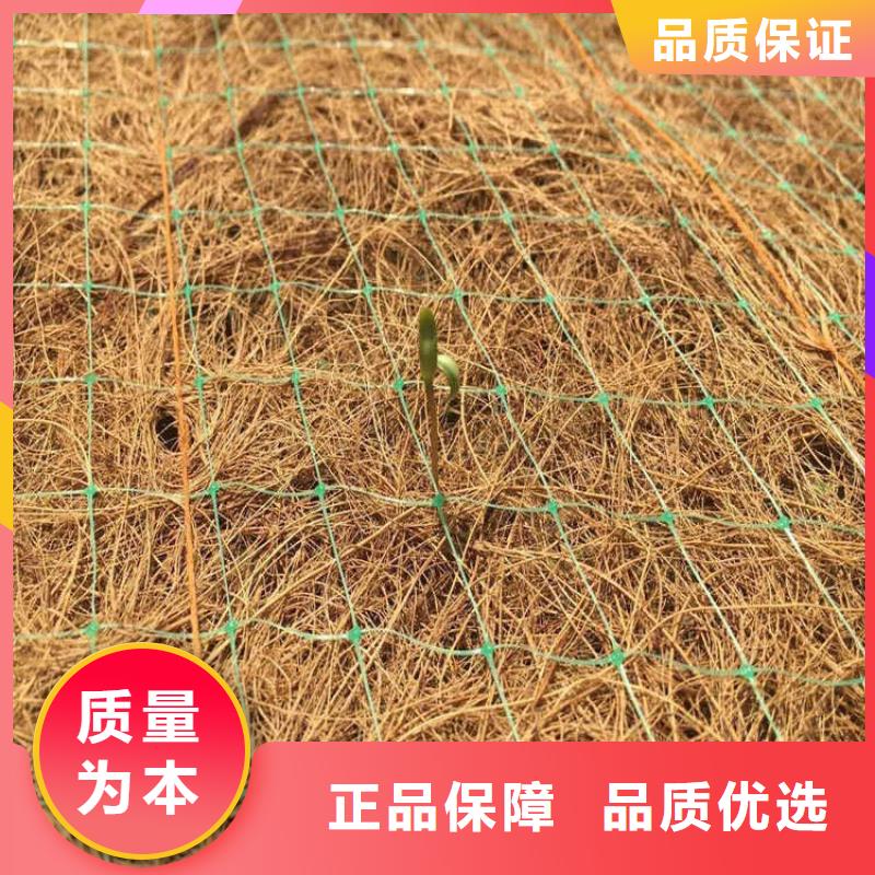 植生椰丝毯多种优势放心选择
