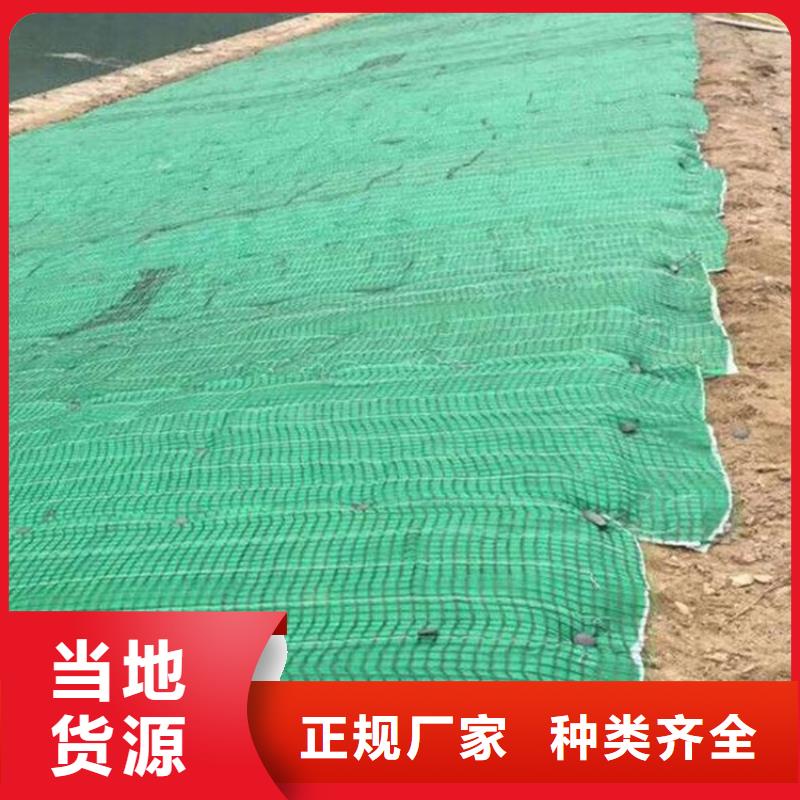 椰纤植生毯-种草毯一站式采购