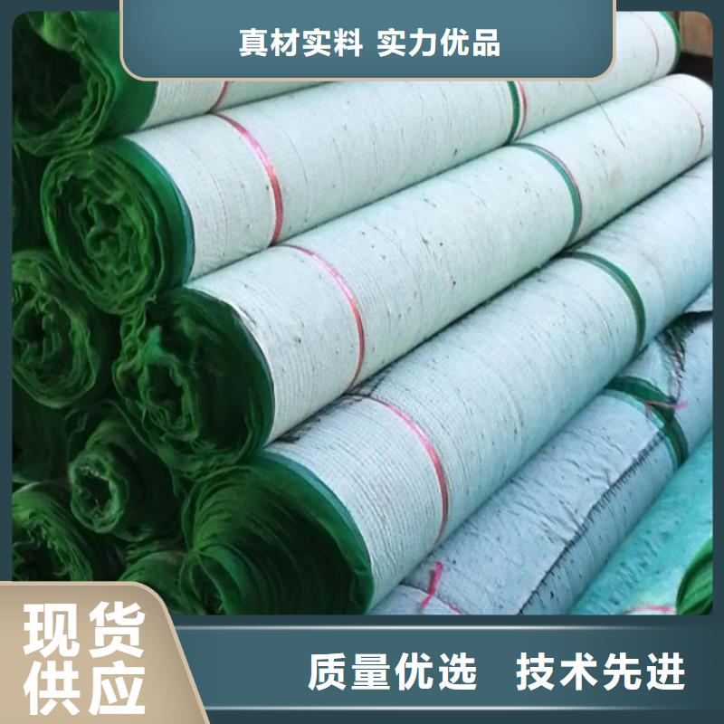 椰纤植生毯-加筋抗冲生物毯型号密度品质不将就