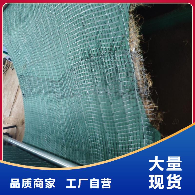 加筋抗冲生态毯-植生草毯当地生产厂家