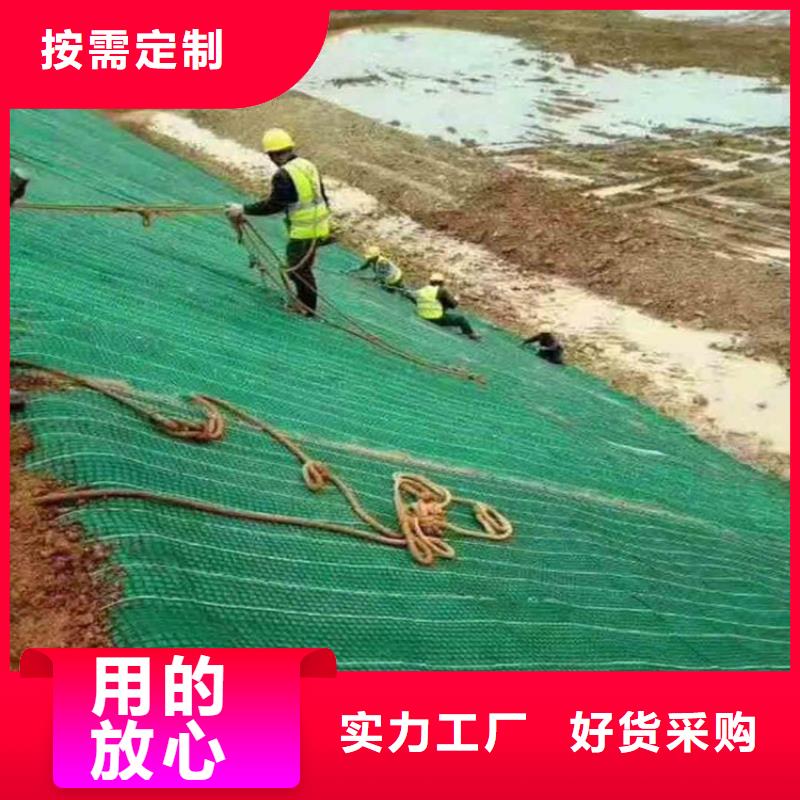 加筋抗冲生物毯生产厂家-哪里有卖的当地公司