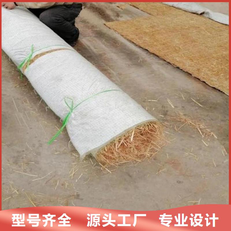 椰丝毯新闻资讯源厂直销