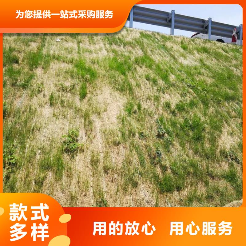 椰纤植生毯-生态环保草毯畅销本地