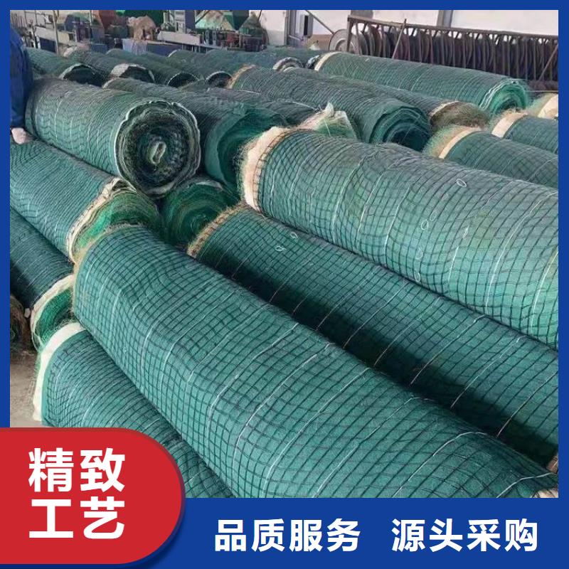 植生椰丝毯-加筋抗冲生物毯-椰丝草毯本地供应商
