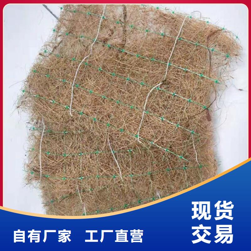 生态环保草毯-加筋抗冲生物毯同城经销商
