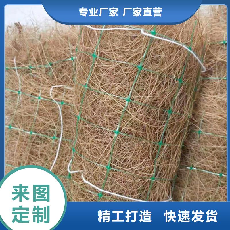 椰纤植生毯-护坡植被植草毯工厂直供