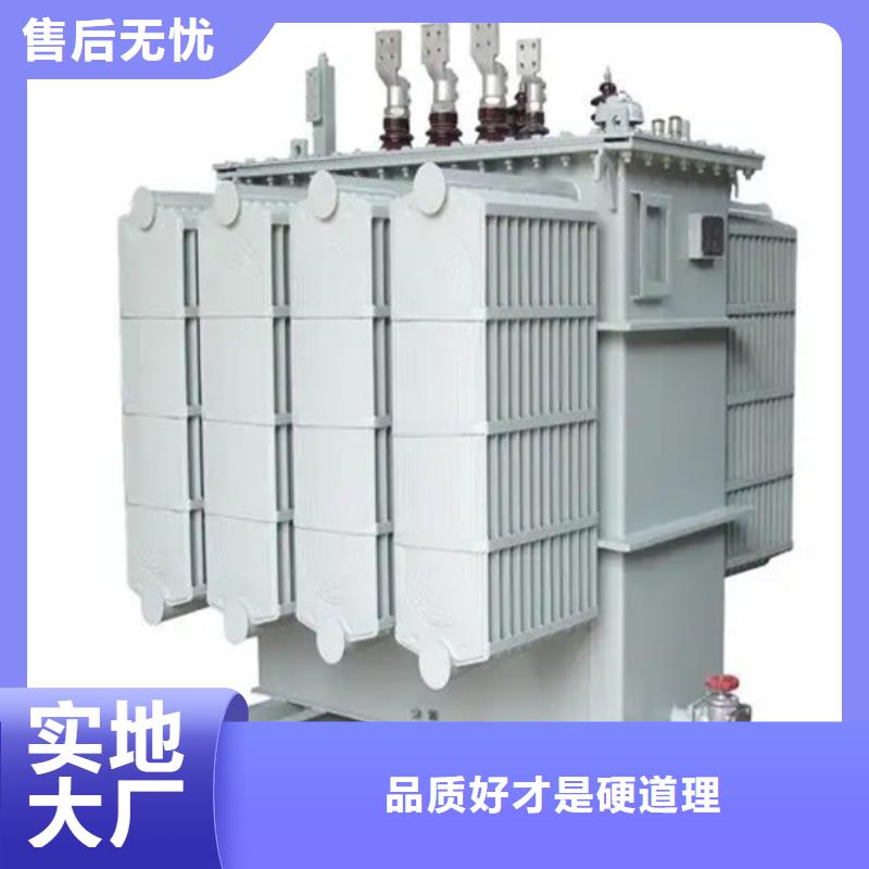 卖s11-m-250/10油浸式变压器的批发商支持定制批发