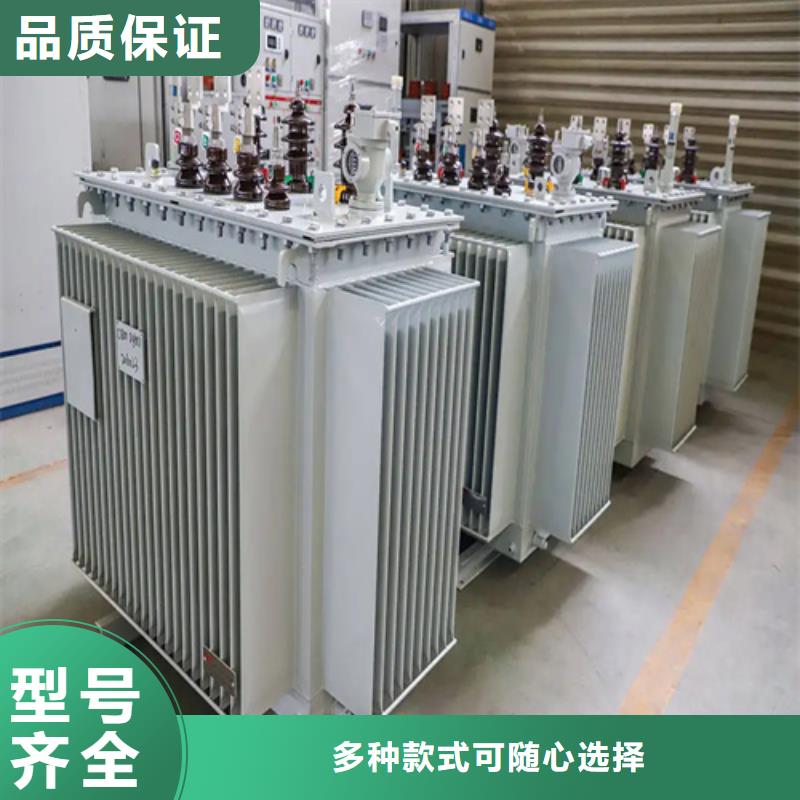 100kva油浸式变压器厂家-值得信赖本地服务商