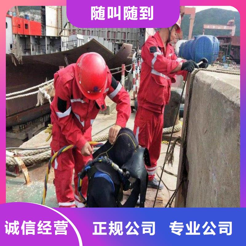 水库闸门检查支持定制技术好