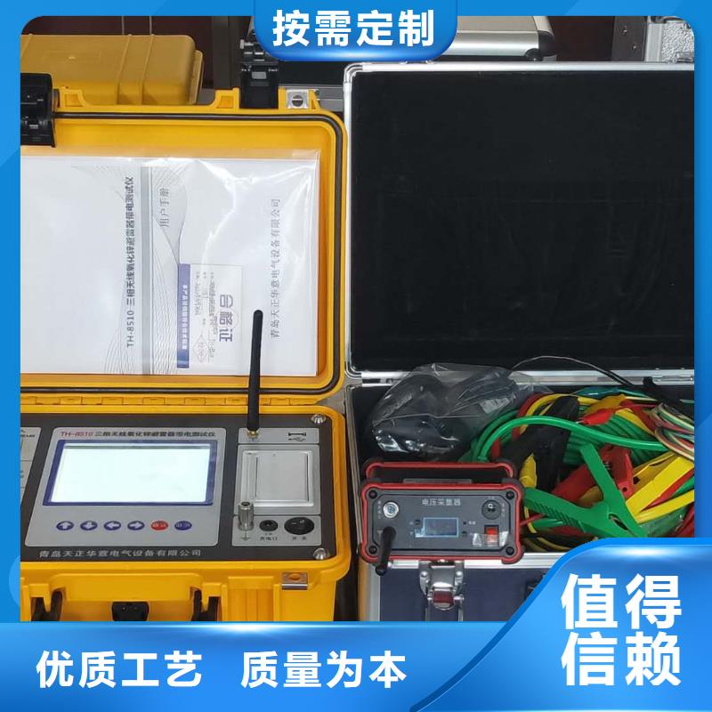 感应式三相氧化锌避雷器带电测试仪现货齐全当地生产商