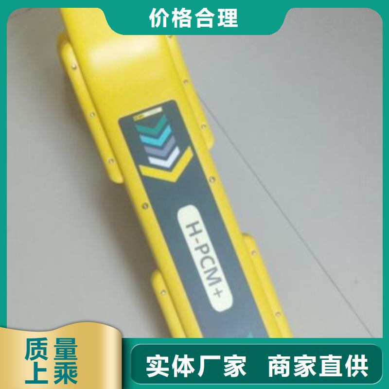 埋地管道防腐层探测检漏仪欢迎咨询货源报价