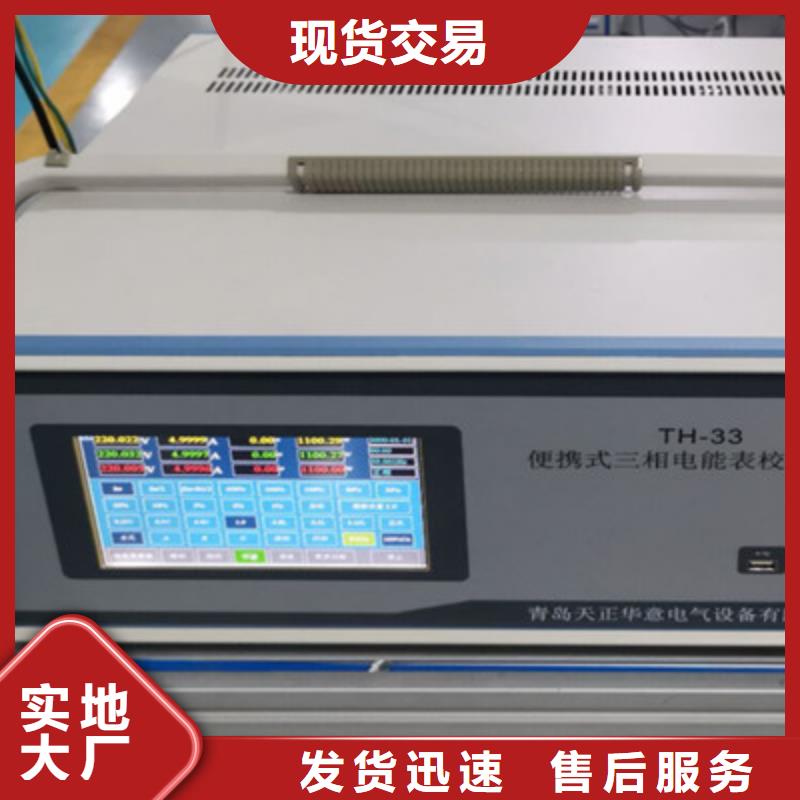 防窃电用电稽查仪厂家供应当地经销商