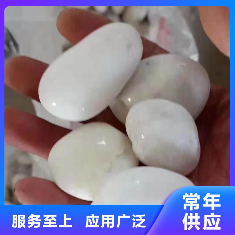 氨氮去除剂可按需定制同城公司