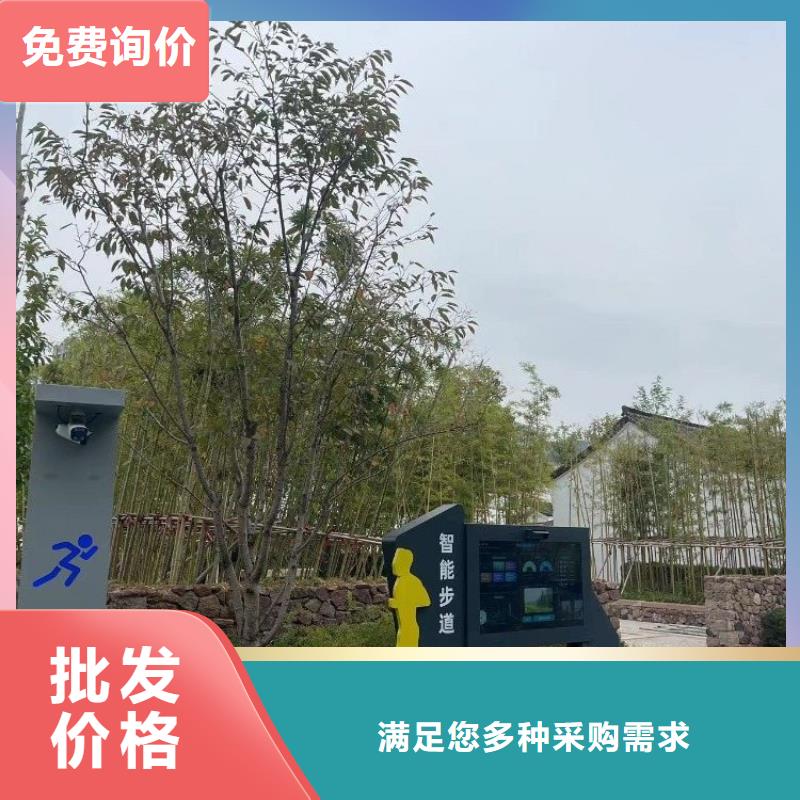 屯昌县ai虚拟骑行单车设计方案（维艾狄尔）当地生产厂家